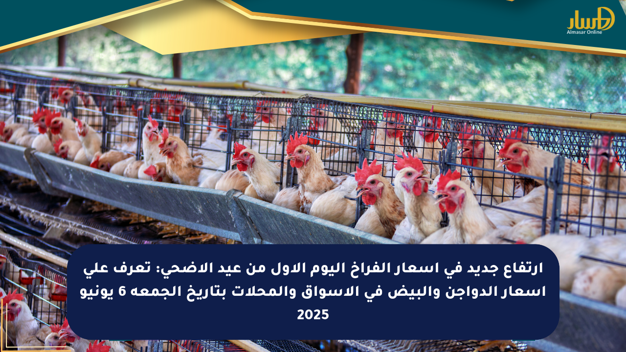 ارتفاع جديد في أسعار الفراخ اليوم الأول من عيد الأضحى: تعرف على أسعار الدواجن والبيض في الأسواق والمحلات بتاريخ الجمعة 6 يونيو 2025